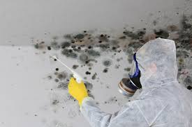 Best Commercial Mold Inspection  in Bear, DE